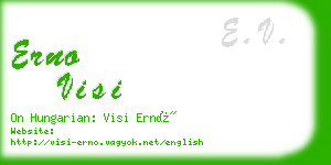 erno visi business card